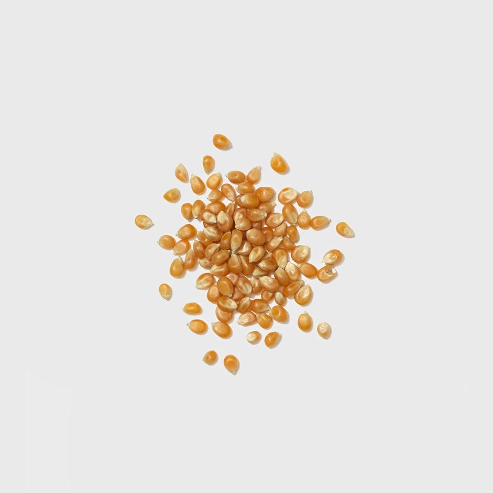 Public Goods Grocery Popcorn Kernels